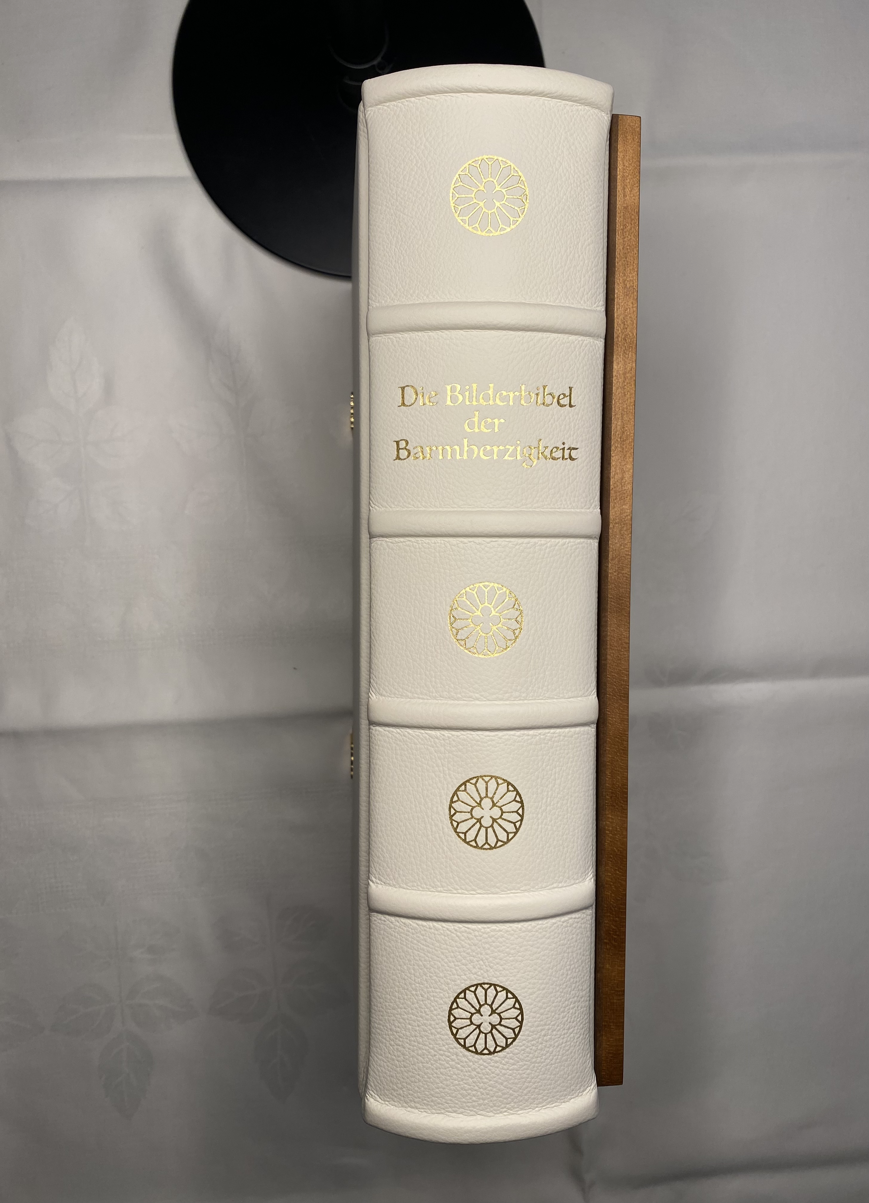 Die Bilderbibel der Barmherzigkeit