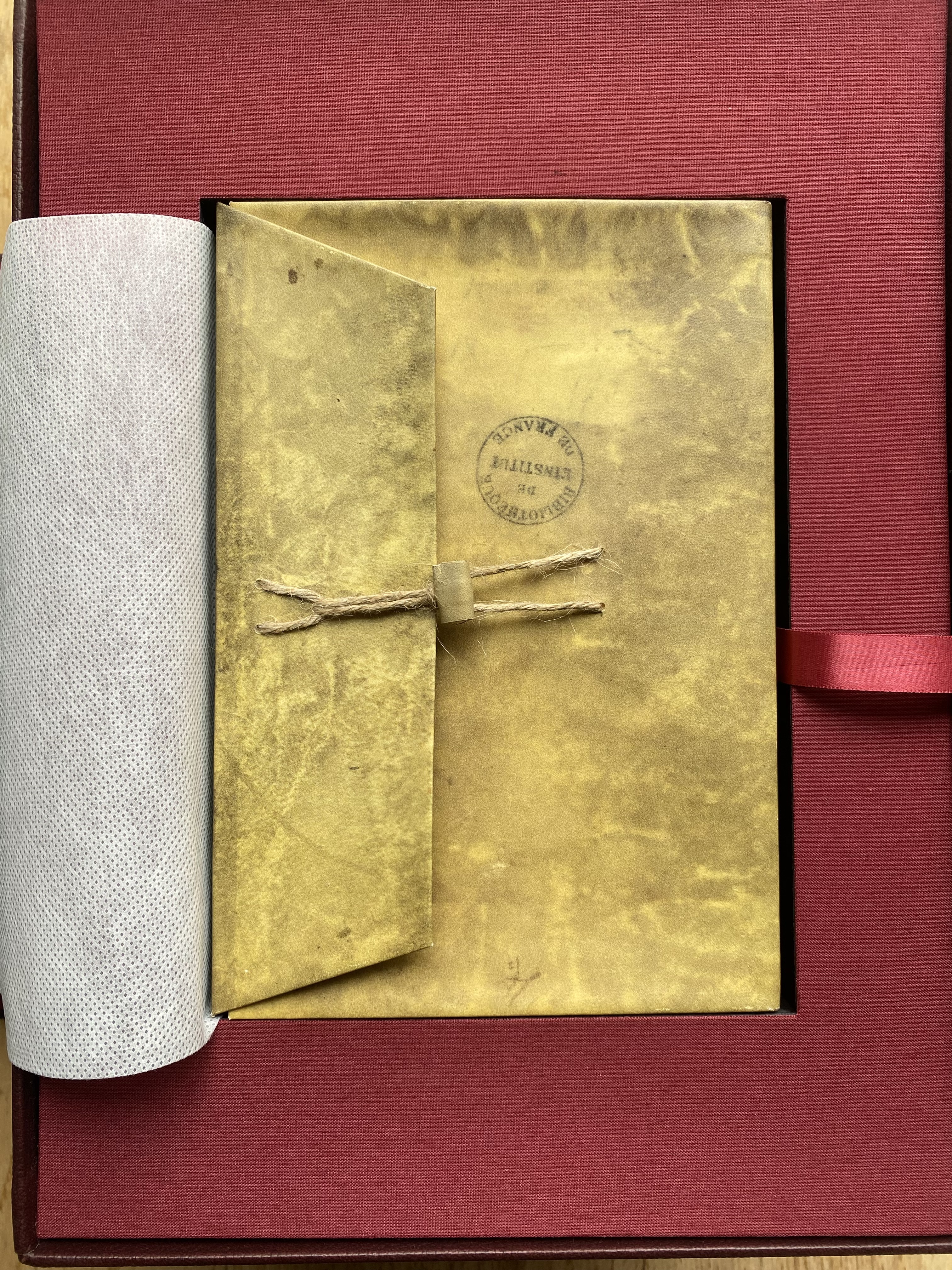 Leonardo da Vinci - Die Pariser Notizbücher