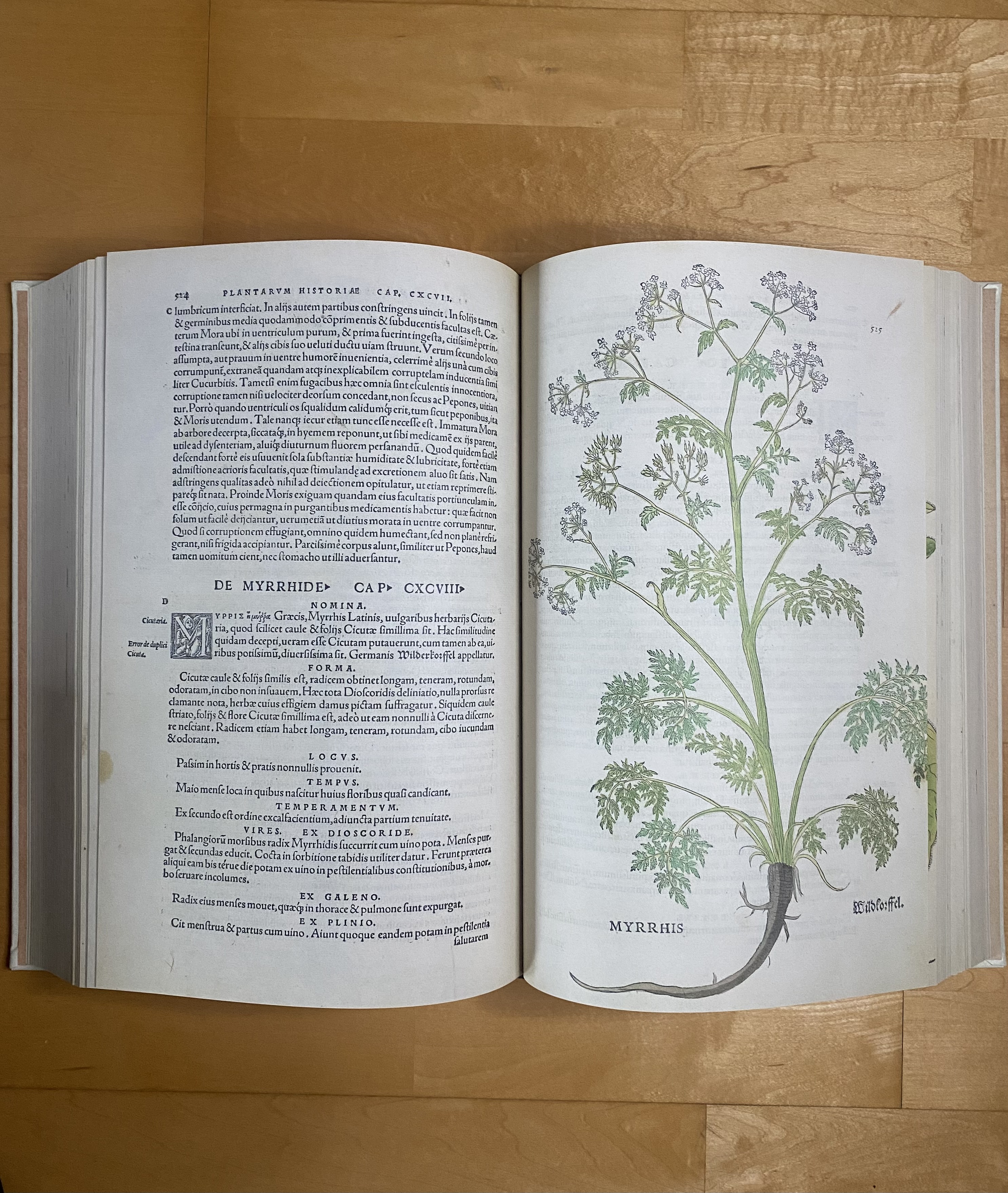 Leonhart Fuchs – De Historia Stirpium