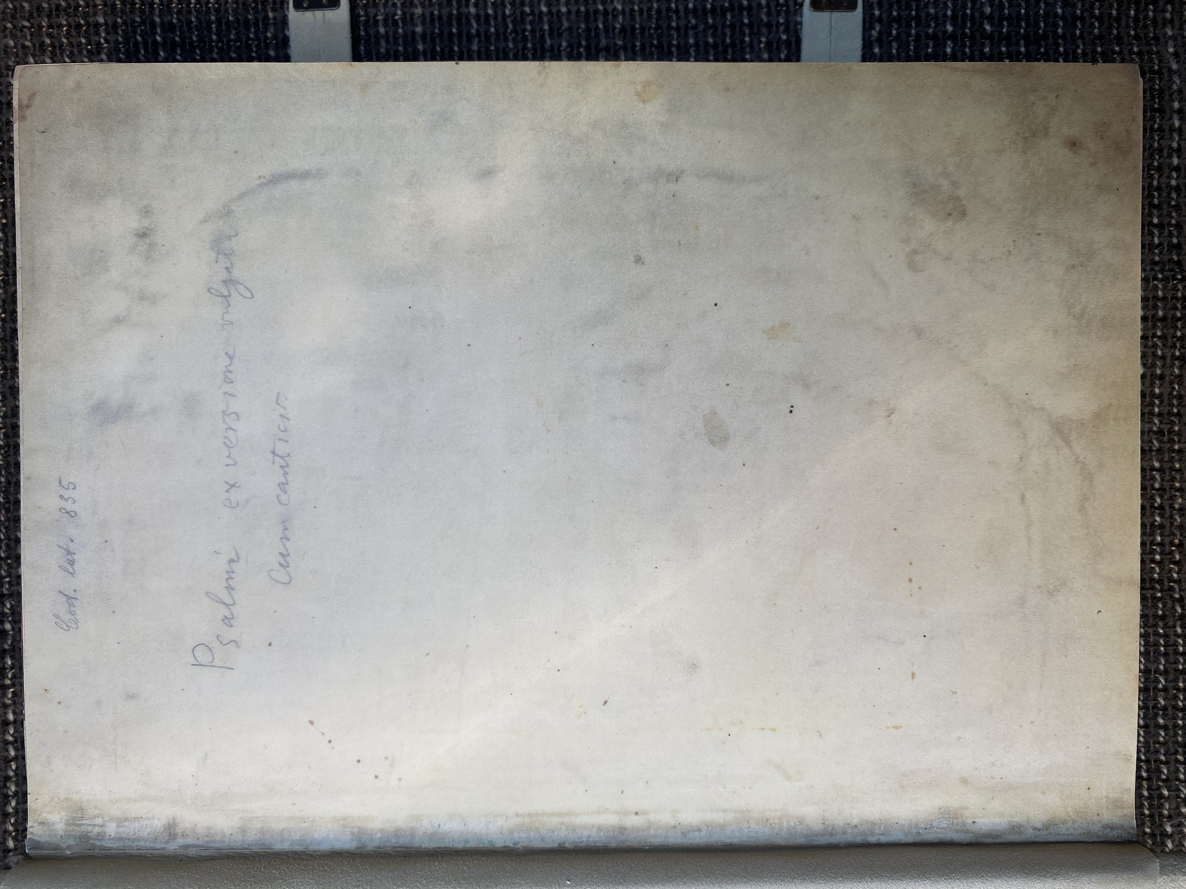 Der Goldene Münchner Psalter