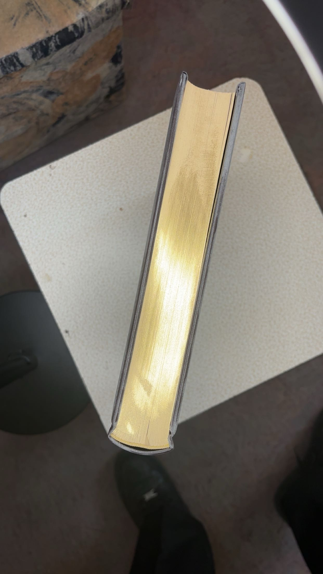 Faszination Weltgeschichte